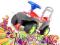 DUŻY Jeździk DINO Teddy Toys +DŹWIĘKI +Światła red