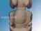 MAXI COSI  RODI  AP - WALNUT BROWN - kolekcja 2012