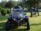 Buggy MAD MAX 800 EFI