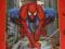 SPIDERMAN koc polarkowy 120x140 MARVEL