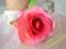Piękna broszka kwiat róża cukierkowy róż różowa