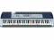 Keyboard organy CASIO LK-110