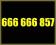 666 666 857 MEGA ZŁOTY NUMER PLAY SPRAWDŹ INNE FV