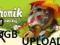 UPLOAD 40GB CHOMIKUJ + GRATISY GB