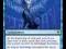 MTG Archmage Ascension (Rare)
