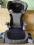 EVENFLO  2 W 1 FOTELIK SAMOCHODOWY-BOOSTER