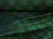 ciemno-zielona tafta w kropy - 2,5 m