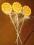 Słoneczka na piku 1,25 zł/szt. HURT. Piękne, WARTO