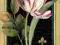 Zawieszka 20 x 14 cm VINTAGE kwiaty tulipan