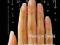 Czasopismo Nail Expert nr (07) 5/2006