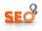 5 letnie ZAPLECZE SEO - domeny, portale, serwery