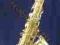 Saksofon altowy ROY BENSON AS-302 + 10 GRATISÓW +