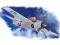FM-1 Wildcat / Hobby Boss 80221