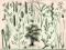 Litografia Rośliny Trawy z 1884 WAWA