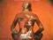 EAST OF EDEN - Mercator Projected - UNIKAT, nowy