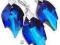 TYLKO U NAS SWAROVSKI komplet BLUE LEAF LONG