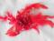 Czerwony z piórami-stroik do włosów 22cm