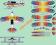 Kalkomania Christen Eagle II Szufa Air Show 1/72