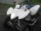 QUAD SUZUKI 250 LTZ 2007