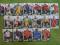 KARTY EURO 2012 PANINI