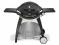 WEBER GRILL GAZOWY OGRODOWY - Q320 Black Line- Ełk