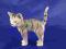 Pręgowany kot - porcelanowa figura WAGNER&APEL