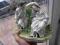Dworska sielanka-Stara figurka porcelanowa-Wiedeń