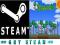TERRARIA STEAM GIFT