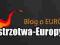 Domena + Blog na EURO2012 -1 strona google