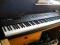 Alesis QS8 88-keys hammer+soft case-SUPER STAN!