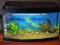 Zestaw akwarium + akcesoria 54l AS2+  ŁÓDŹ