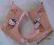 NOWE**KALOSZE**HELLO KITTY** 28(10)