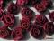Piękne duże bordowe atłasowe róże- nowość!!