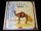 Camel *MIRAGE* Japan press King Crimson *MINT*