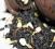 Earl Grey Jaśminowy CZARNA 50g