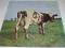 Pink Floyd - Atom Heart Mother