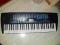 Keyboard CASIO ctk-495