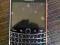 BLACKBERRY 9900