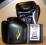 RĘKAWICE BOKS PRO STYLE 2700 - 10oz EVERLAST