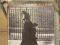 Neil Young -after the gold rush