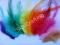 Kogucie piórka pióra różne kolory