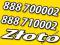 ZŁOTA PARA 888 700002 + 888 710002 FIRMA INFOLINIA