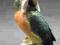 Kakadu zielone ... figura Ens