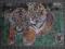 Puzzle w ramce - tygryski