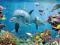 Ocean - Rafa Koralowa - Delfin - plakat 91,5x61 cm