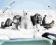 Zwierzęta Polarne Miś Foka Orka - plakat 40x50 cm