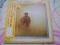ADRIAN GURVITZ - SWEET VANDETTA. [MINT].JAPAN.