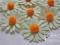 *dekomotyw* Stokrotki margerytki duże 7 cm 3 szt.