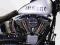 Harley- Davidson Fireweed Inc Insane custom made