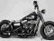 Harley- Davidson Fireweed Inc Nomad custom made